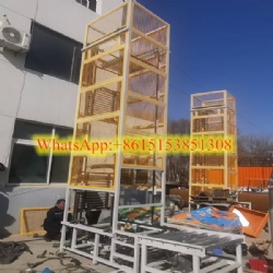 6meter Lifting Electric Platform Lift Pallet Continuous Vertical Lift Storage Elevator Continuous Vertical Conveyor